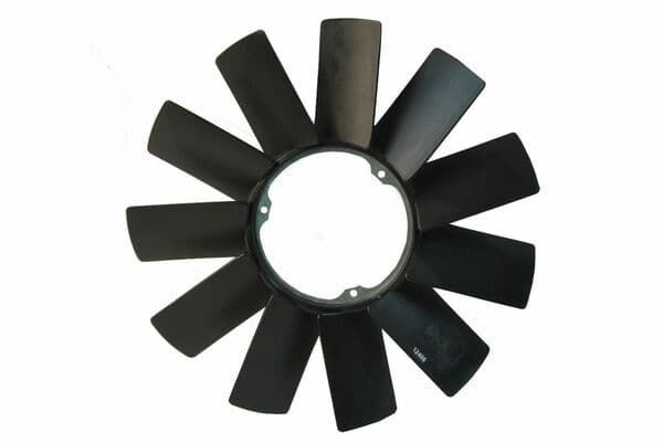 NRF 49889 — Fan göbeği
