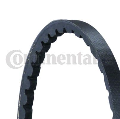 CONTINENTAL CTAM AVX10X925 — V-kayışı — görsel 1