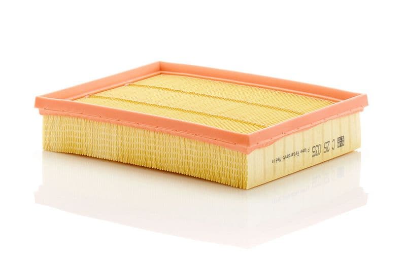 MANN-FILTER C 25 035 — Hava filtresi