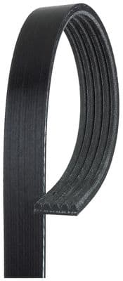 GATES 6PK1019SF — Kanallı V kayışı