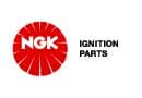 NGK logosu